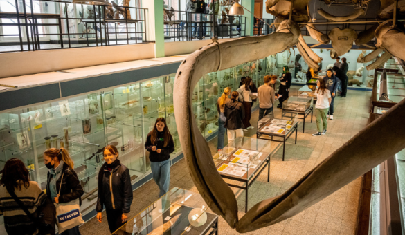 Museum voor Dierkunde