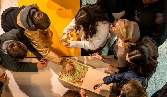 Escapespel in het Museum voor Dierkunde